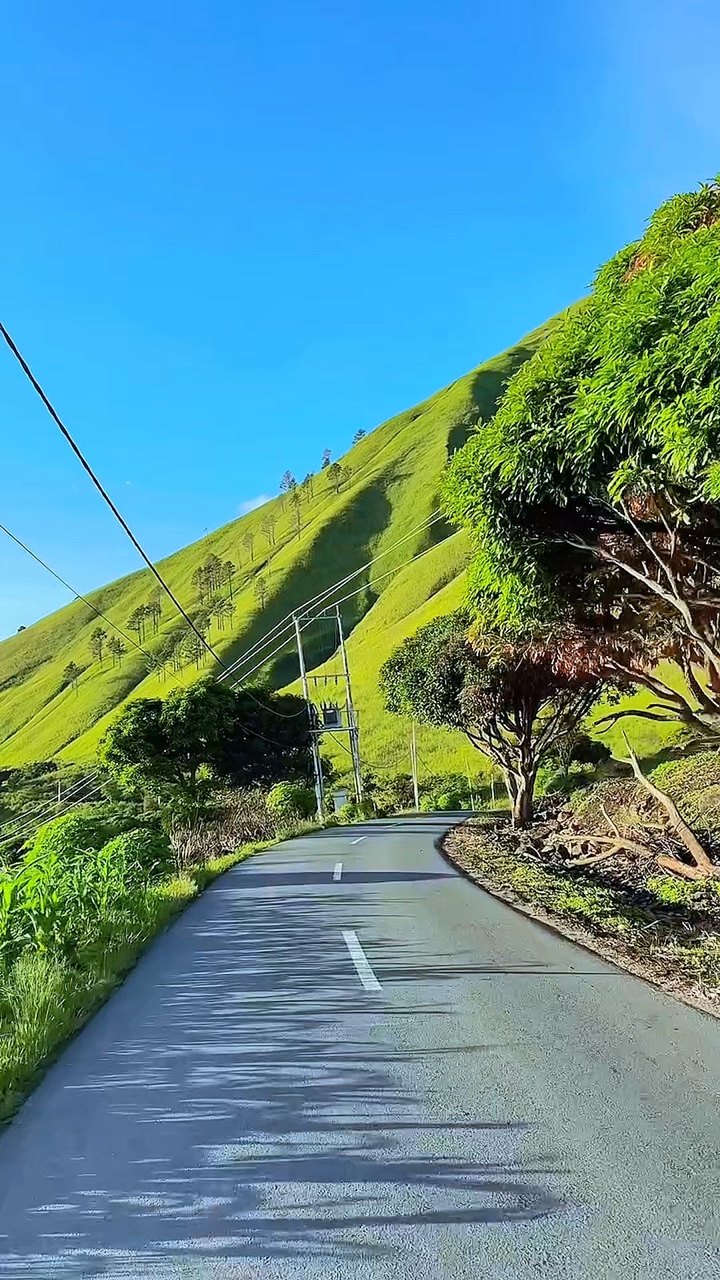8 video clips road