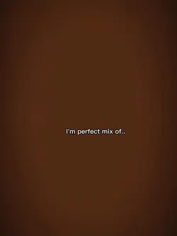 im a perfect mix