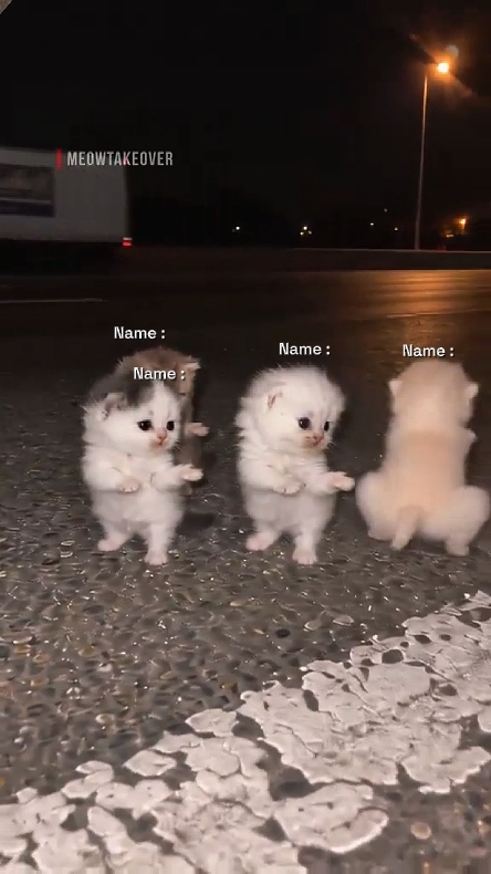 Write Your Names 