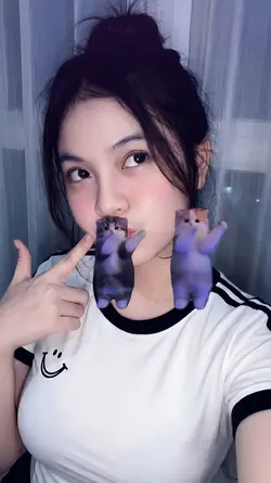 Stiker kucing joget