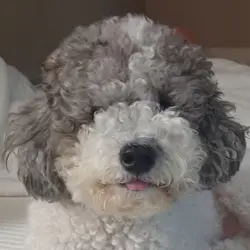 어쩌라구용z  ㅋ