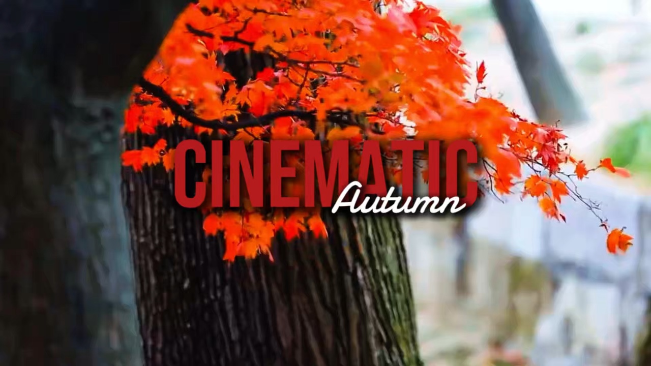 Cinematic Herbst