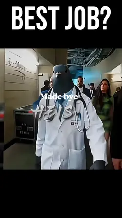 Best Job
