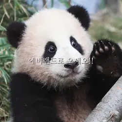 환상의 나라로 오세요/에버랜드테마송