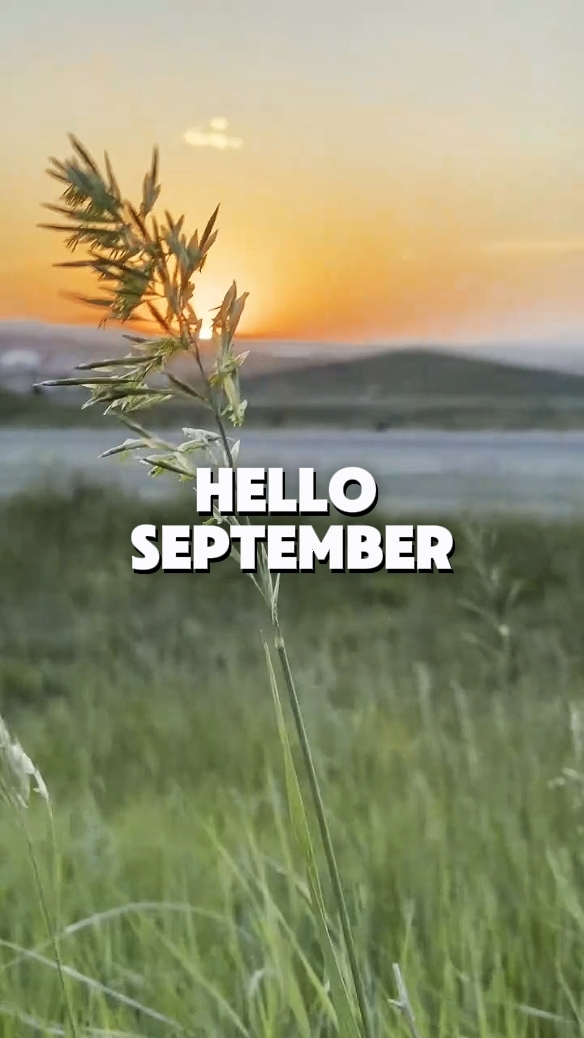 Hallo September