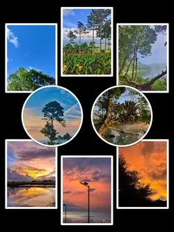 8Pic Trend Aesthetic