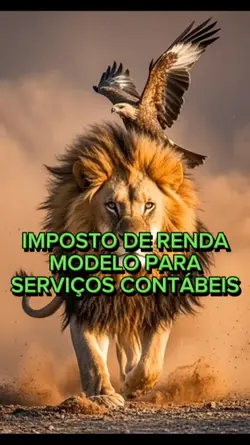 Contabilidade