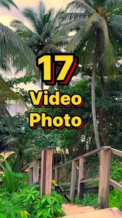 17 video or photo 