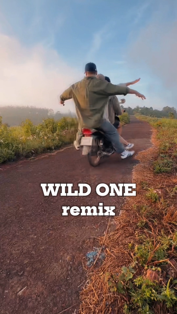Wilde Remix