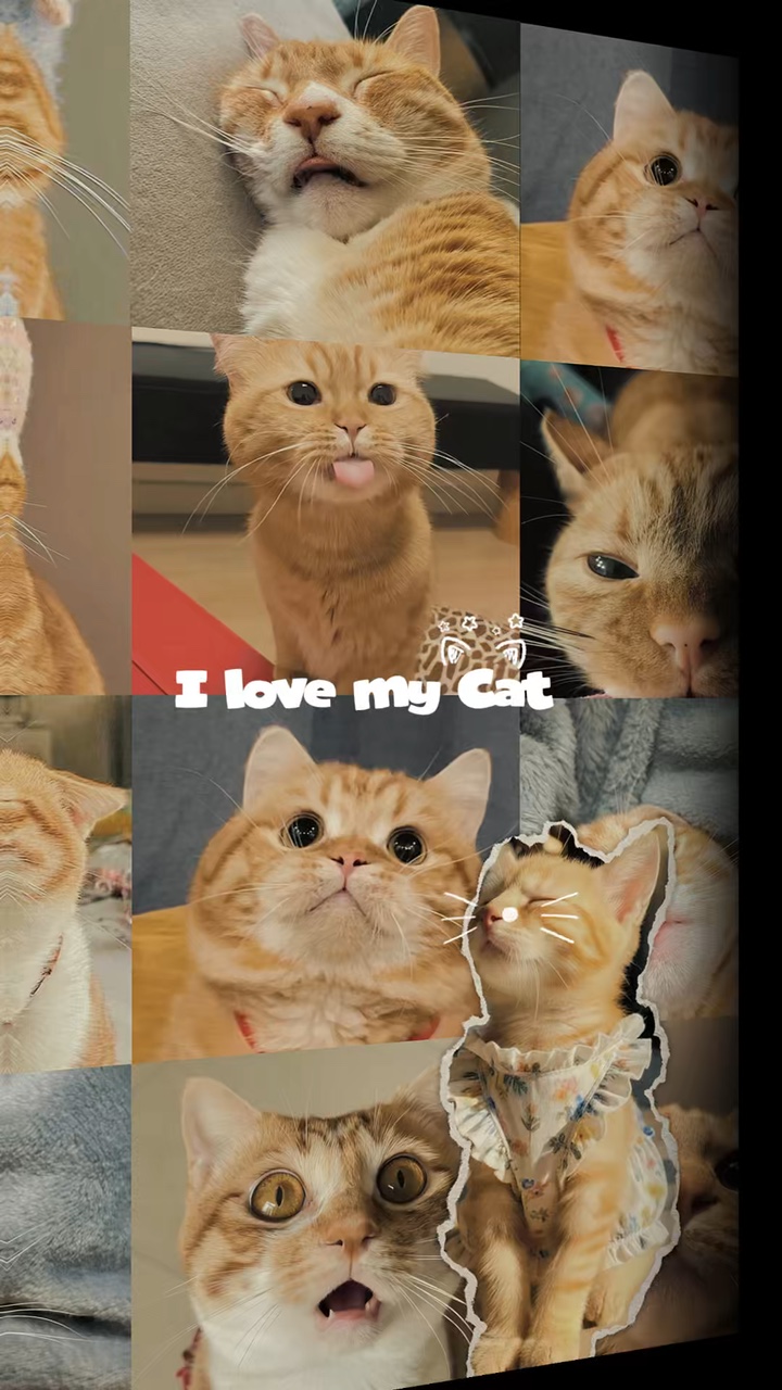 너와 나 🐾