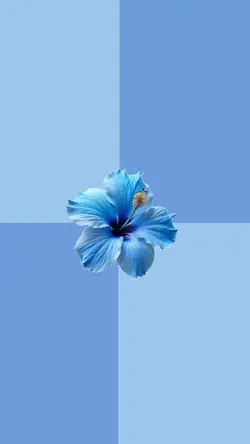 bleu