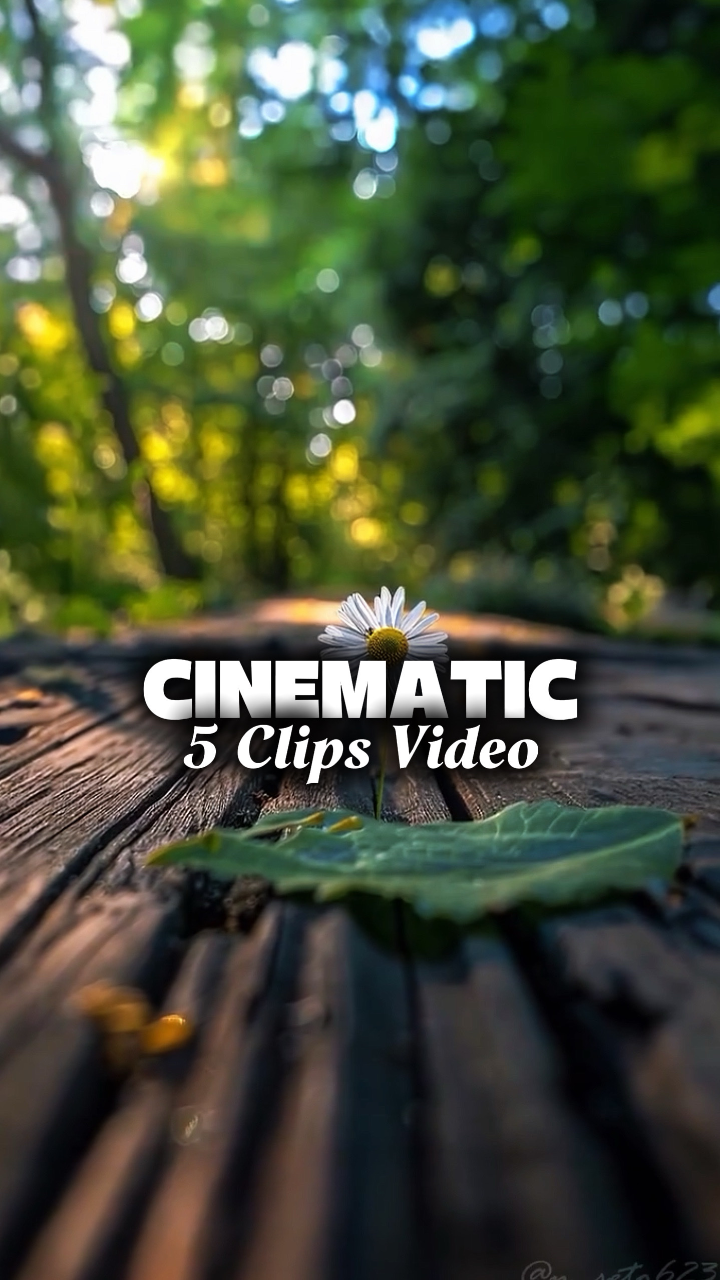 5 Videos Cinemáticos