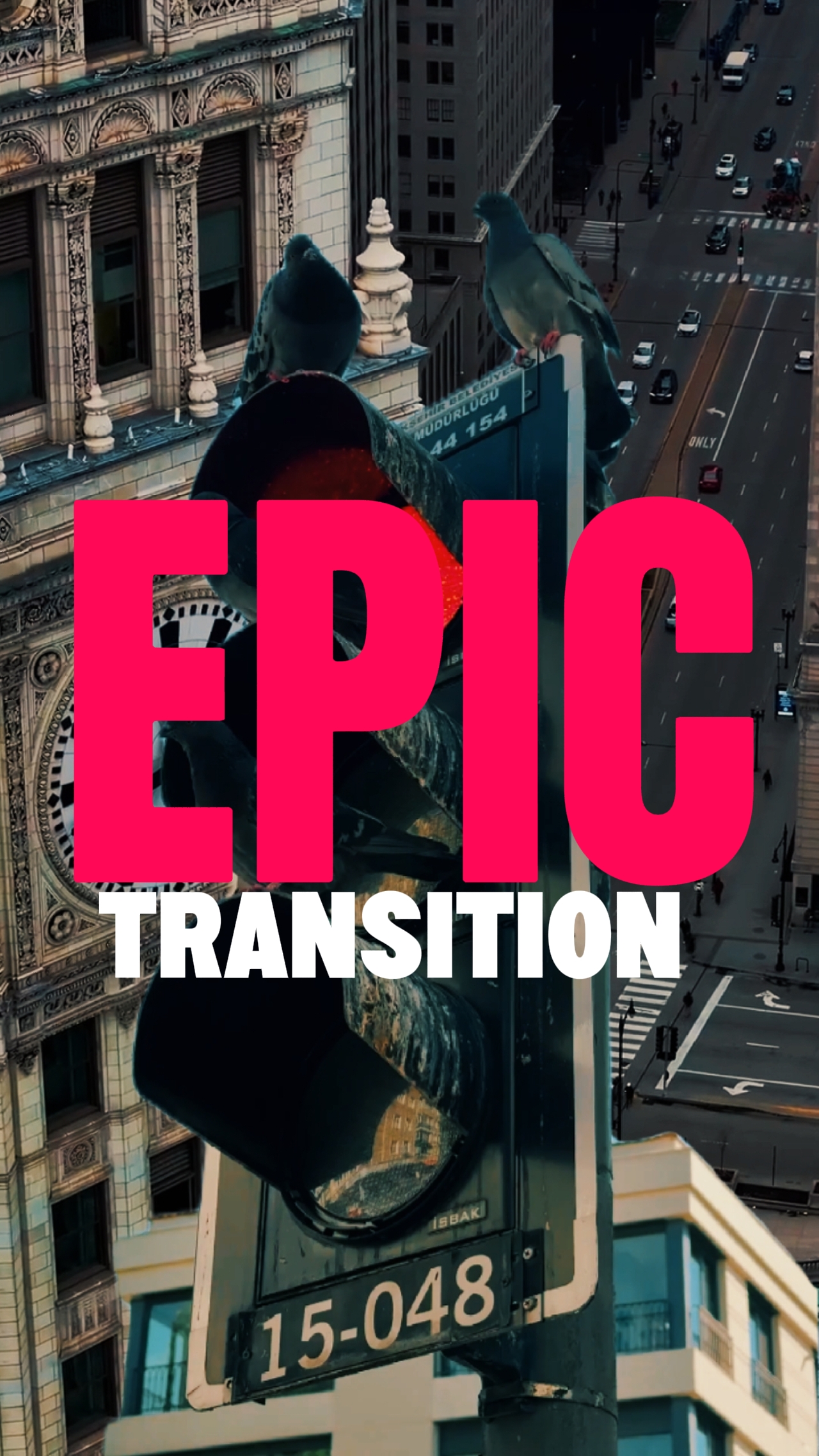 EPIC TRANSITION