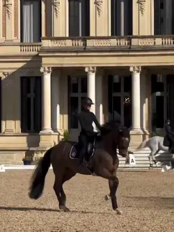 FAKE NOT REAL ⚠️‼️