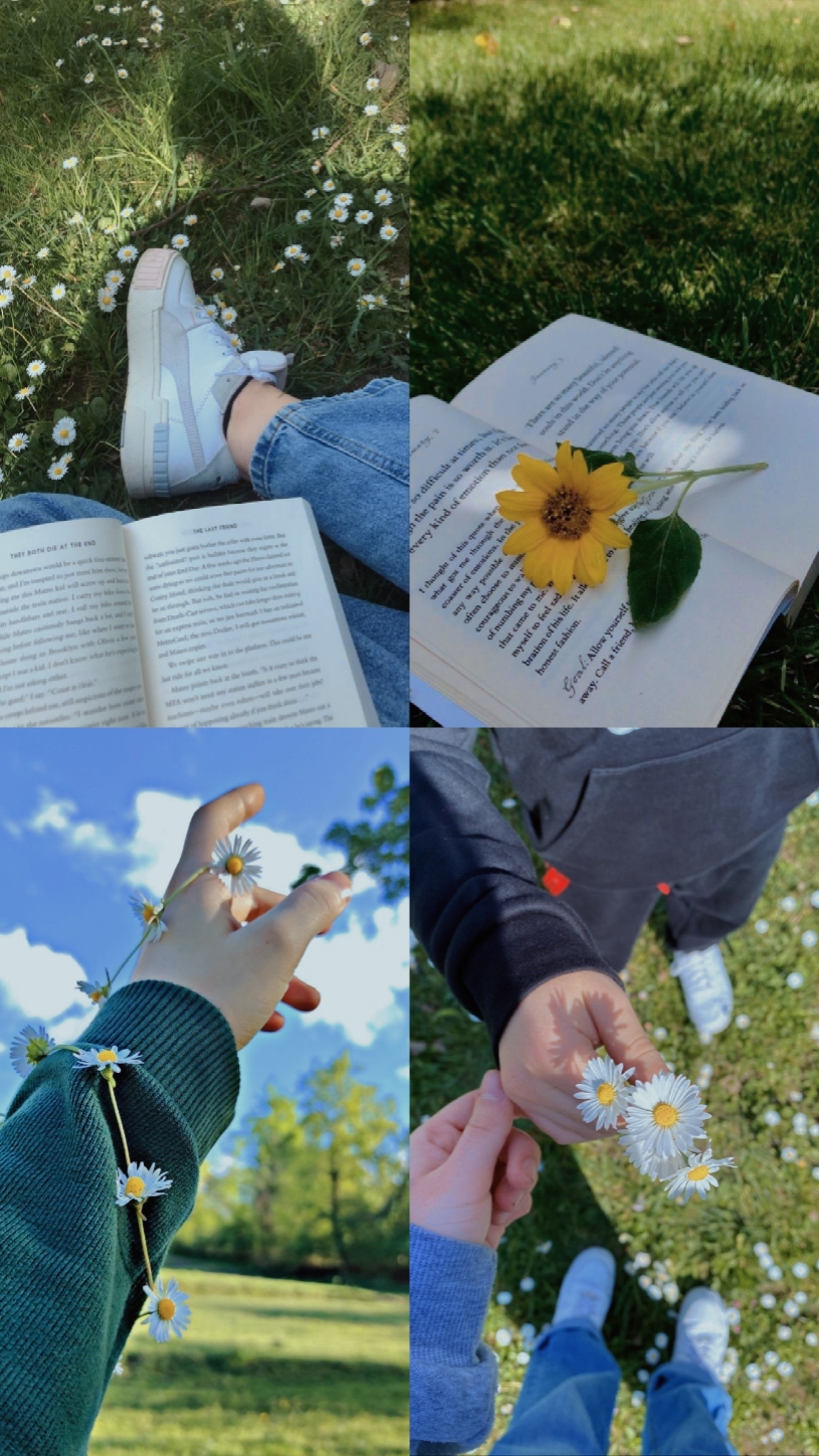 4 pics aesthetic 