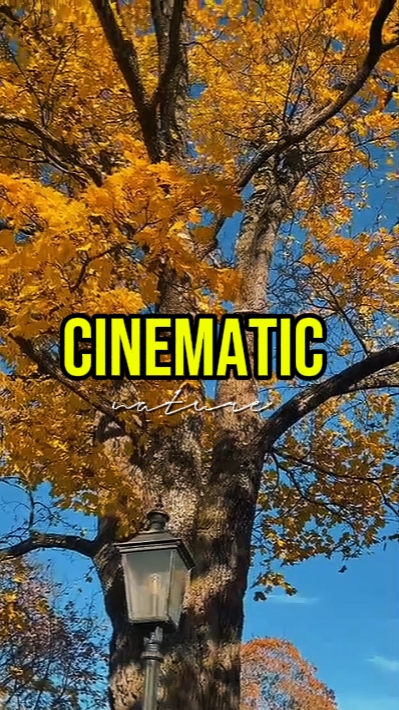 CINEMATIC NATURE 