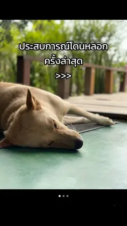 ประสบการณ์โดนหลอก