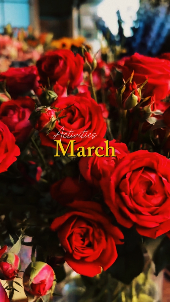 Actividades Marzo 