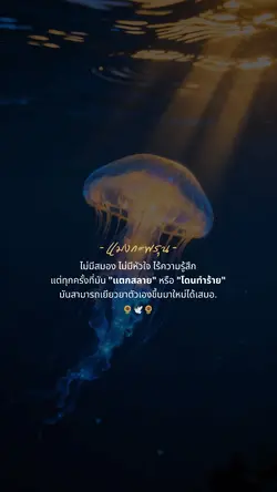 แมงกะพรุน