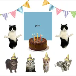 happy birthday cat