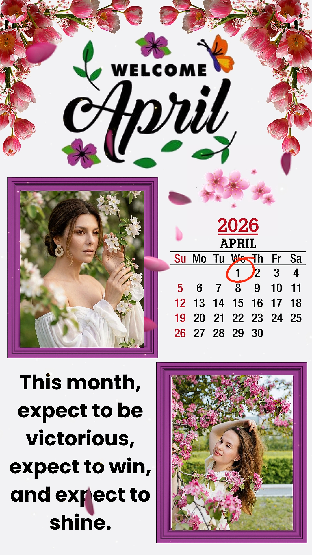 Olá abril de 2026