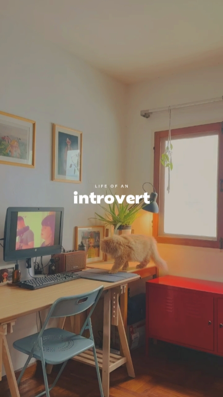 introvert vlog 