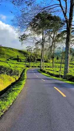 4 video aesthetic HD