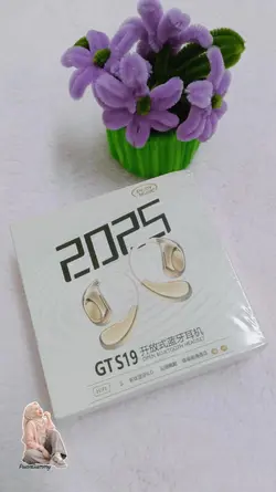 GTS19 HIFI HEADSET 