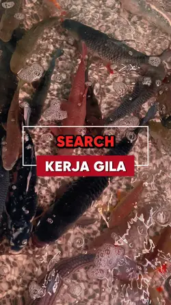 Search