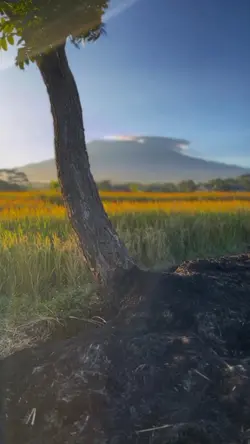 CINEMATIC 3 KLIP