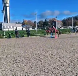 T'arrives au village