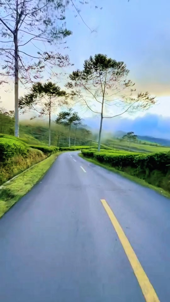 5 video road 