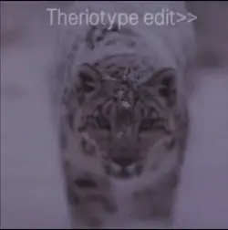 Snow leopard edit