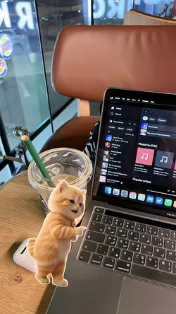 cat dance trend
