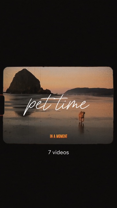 Hora do animal de estimação