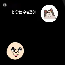 바다 수프설