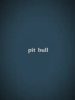 pit bull