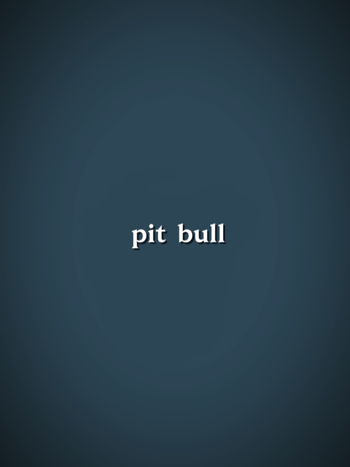 Pit Bull