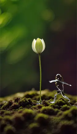 动态壁纸