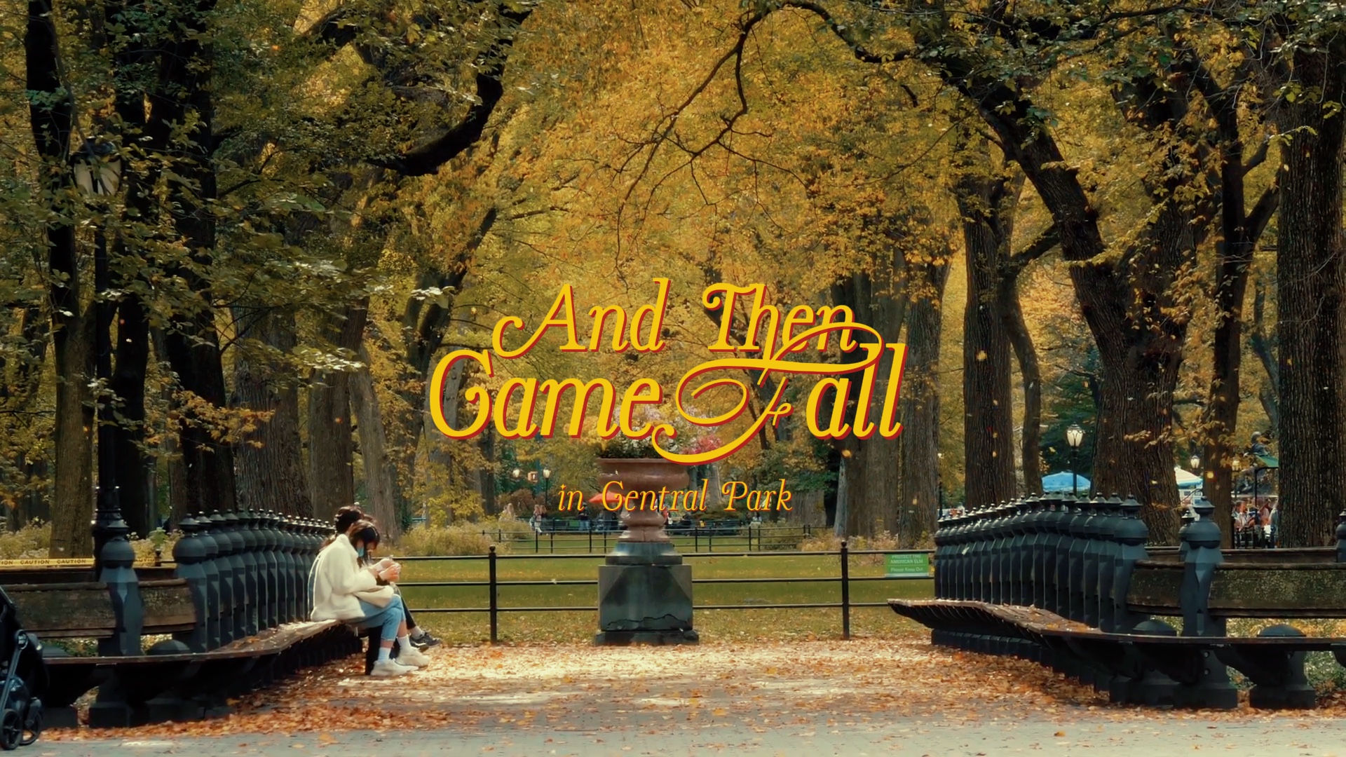 Autumn in Newyork