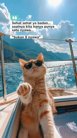 9 nyawa