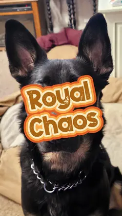 Royal Chaos
