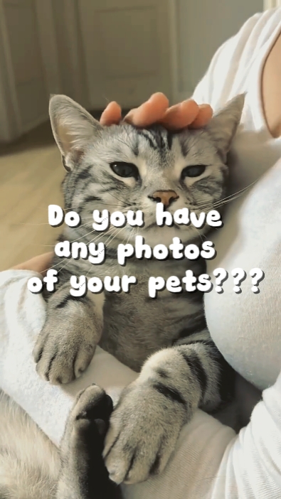your pets 