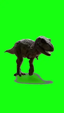 green screen