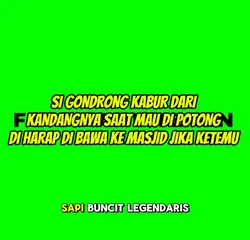 SAPI INI KABUR 