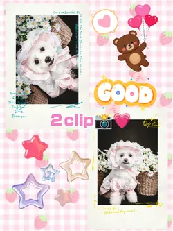 コラージュ/２clip