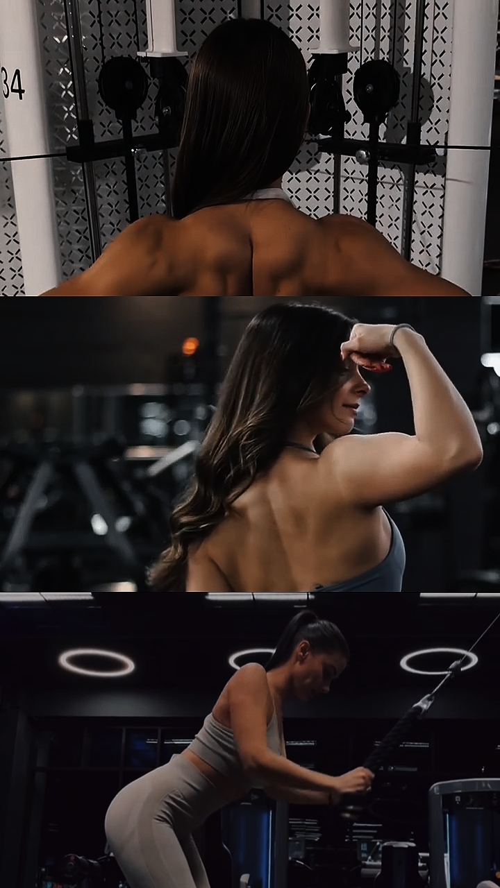 8clip gym pro