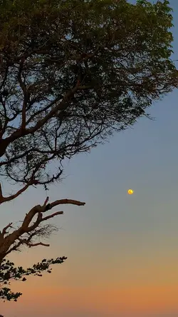moon