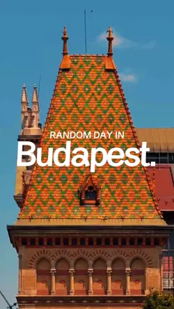 vlog : wes anderson
