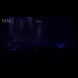 Suga concert 